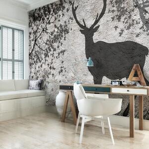 Fototapeta - Stín jelena na šedé zdi (152,5x104 cm)