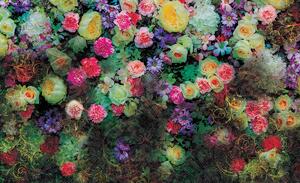 Fototapeta - Barevné květiny (254x184 cm)