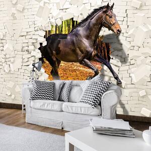 Fototapeta - Kůň vyskočil ze zdi - 3D (254x184 cm)