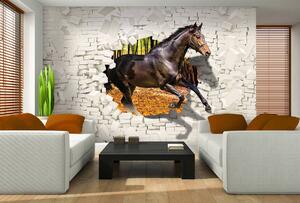 Fototapeta - Kůň vyskočil ze zdi - 3D (152,5x104 cm)