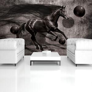 Fototapeta - Černý kůň (152,5x104 cm)