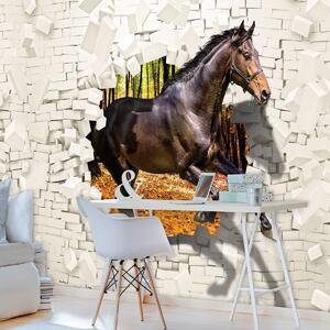 Fototapeta - Kůň vyskočil ze zdi - 3D (254x184 cm)