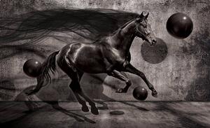 Fototapeta - Černý kůň (152,5x104 cm)