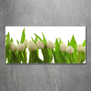 Foto-obrah sklo tvrzené Bílé tulipány osh-40774671