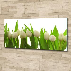 Foto-obrah sklo tvrzené Bílé tulipány osh-40774671