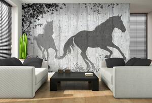 Fototapeta - Stíny koně na šedé zdi (152,5x104 cm)