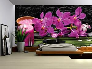 Fototapeta - Růžové orchideje (152,5x104 cm)