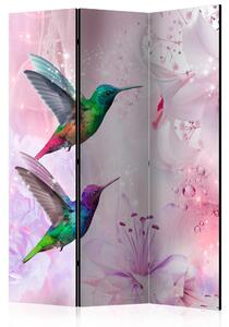 Paraván - Colourful Hummingbirds [Room Dividers]