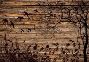 Fototapeta - Louka na dřevěných prken (254x184 cm)