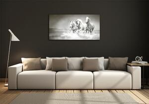 Foto obraz fotografie na skle Bílí koně osh-44040199