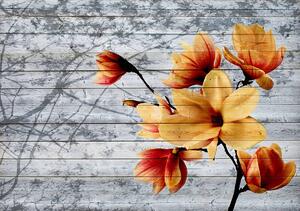 Fototapeta - Oranžové květy na dřevěných prken (152,5x104 cm)