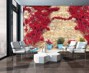 Fototapeta - Zeď s květinami (152,5x104 cm)