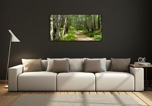 Foto obraz skleněný horizontální Stezka v lese osh-4509873