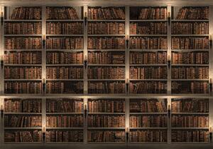 Fototapeta - Knihovna plná knih (254x184 cm)