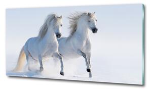 Foto obraz sklo tvrzené Dva koně ve sněhu osh-46568530