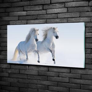 Foto obraz sklo tvrzené Dva koně ve sněhu osh-46568530