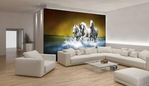Fototapeta - Bílý kůň tryskem na vodě (152,5x104 cm)