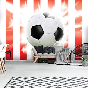 Fototapeta - Fotbal (254x184 cm)