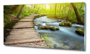 Foto obraz fotografie na skle Stezka nad řekou osh-46793485