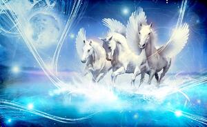 Fototapeta - Pegasus na modrém pozadí (152,5x104 cm)