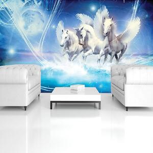 Fototapeta - Pegasus na modrém pozadí (254x184 cm)