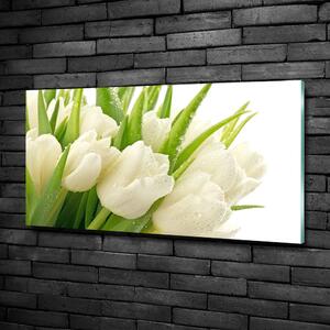 Moderní foto obraz na stěnu Bílé tulipány osh-49549577