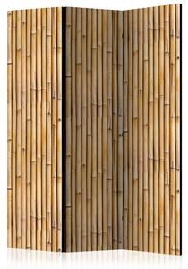 Artgeist Paraván - Amazonian Wall [Room Dividers] Velikosti (šířkaxvýška): 135x172
