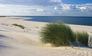 Fototapeta - Pláž Severního moře (254x184 cm)