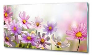 Foto obraz sklo tvrzené Květiny na louce osh-50039707