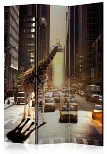 Paraván - Giraffe in the Big City [Room Dividers]