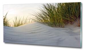 Foto obraz sklo tvrzené Mořské duny osh-51837949