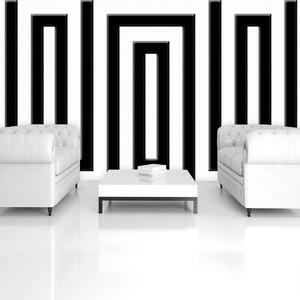 Fototapeta - Černý a bílý labyrint (152,5x104 cm)