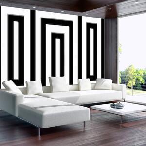 Fototapeta - Černý a bílý labyrint (152,5x104 cm)