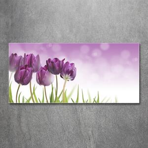 Fotoobraz na skle Fialové tulipány osh-52340543