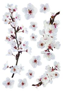 Samolepicí dekorace Crearreda L Photographic Blossom 44223 Bíle kvetoucí větev