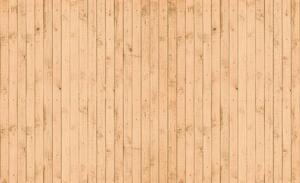 Fototapeta - Textura - dřevo (152,5x104 cm)
