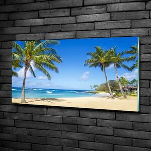 Foto obraz skleněný horizontální Tropická pláž osh-53431750