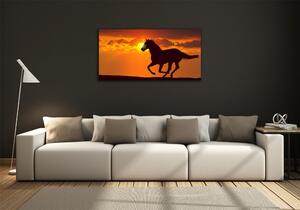 Foto obraz sklo tvrzené Kůň západ slunce osh-53365535