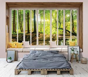 Fototapeta - Slunečný výhed do lesa - okno (152,5x104 cm)