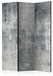 Paraván - Fresh Concrete [Room Dividers]