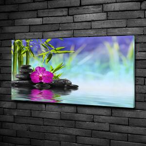 Moderní foto obraz na stěnu Orchidej bambus osh-54557063