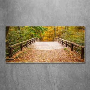 Moderní foto obraz na stěnu Most v lese podzim osh-55256739