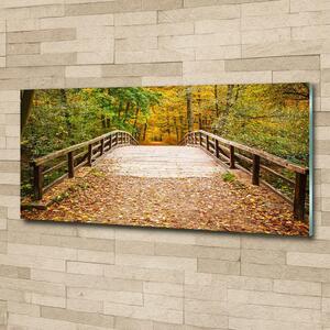 Moderní foto obraz na stěnu Most v lese podzim osh-55256739