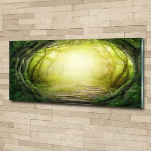 Fotoobraz na skle Tunel ze stromů osh-55464163