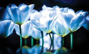 Fototapeta - Květiny - modrý nádech (152,5x104 cm)