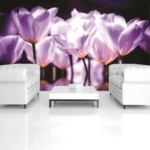 Fototapeta - Květiny - fialový nádech (152,5x104 cm)