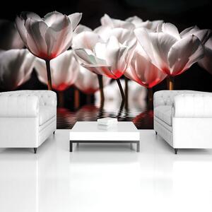 Fototapeta - Květiny - červený nádech (152,5x104 cm)