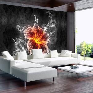 Fototapeta - Květ - kouř (152,5x104 cm)