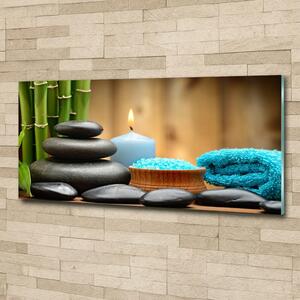 Moderní foto obraz na stěnu Bambus osh-58101307