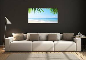 Fotoobraz na skle Tropická pláž osh-5838209